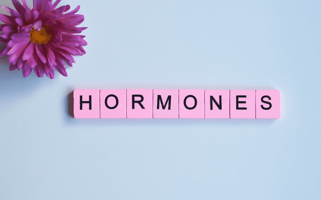 A day of eating for hormone health